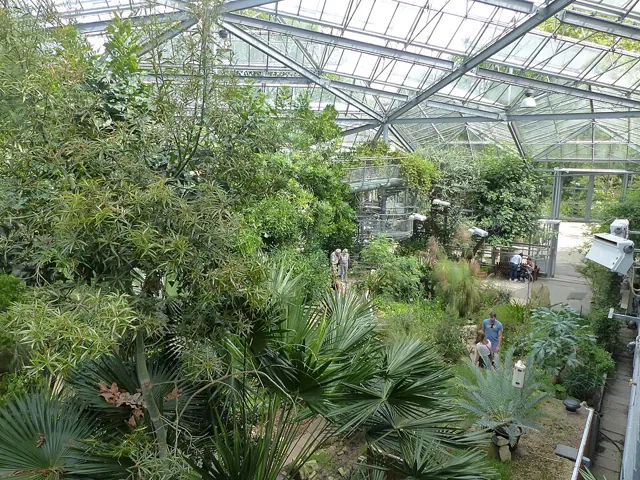 Hortus Botanicus (Amsterdam) in Amsterdam