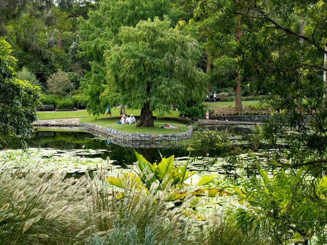 Mount Coot-tha in Brisbane