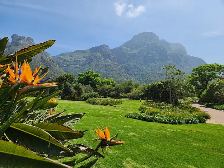 Kirstenbosch National Botanical Garden in Cape Town