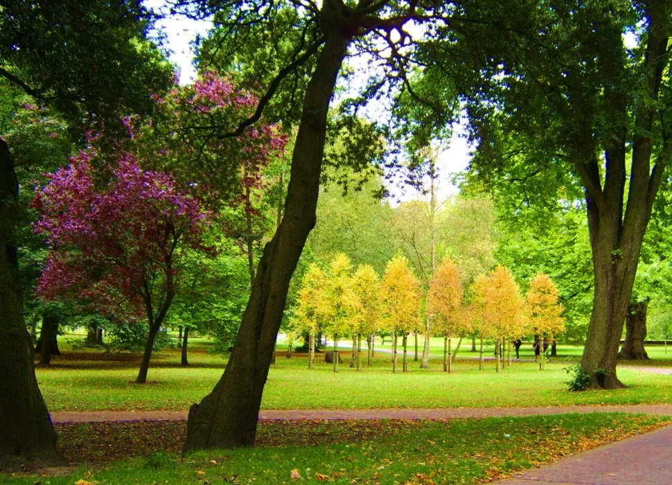 Bute Park in Cardiff