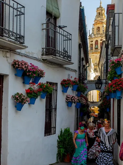 Calleja de las Flores in Cordoba