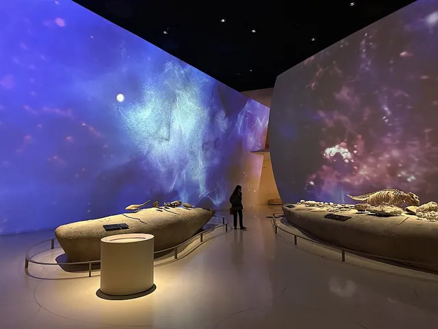 National Museum of Qatar