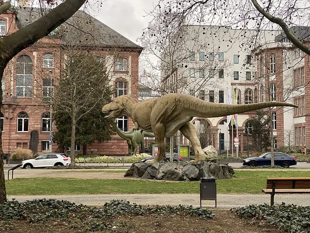 Senckenberg Nature Museum