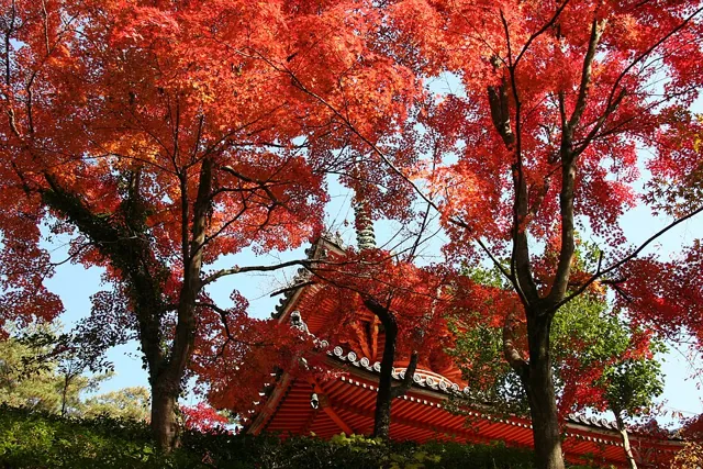 Mitaki-dera in Hiroshima