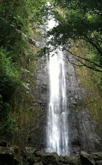 Manoa Falls in Honolulu