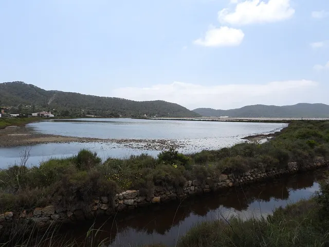 Ses Salines Natural Park in Ibiza