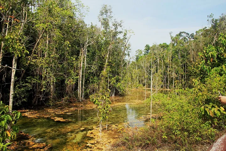 Emerald Pool in Krabi