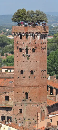 Guinigi Tower in Lucca