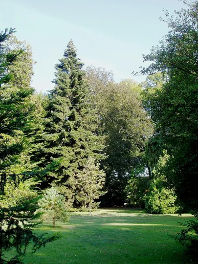 Orto Botanico Comunale di Lucca in Lucca