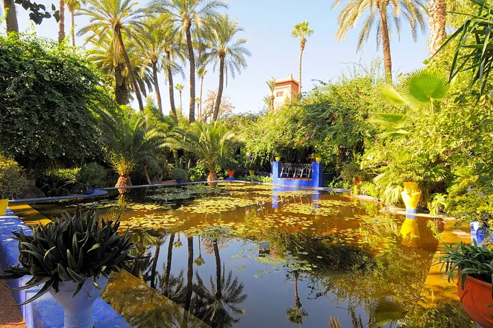 Majorelle Garden in Marrakech