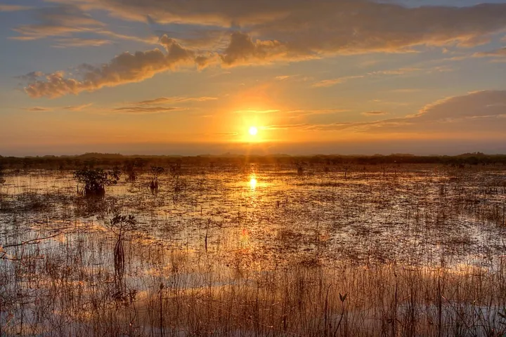 Everglades National Park in Miami