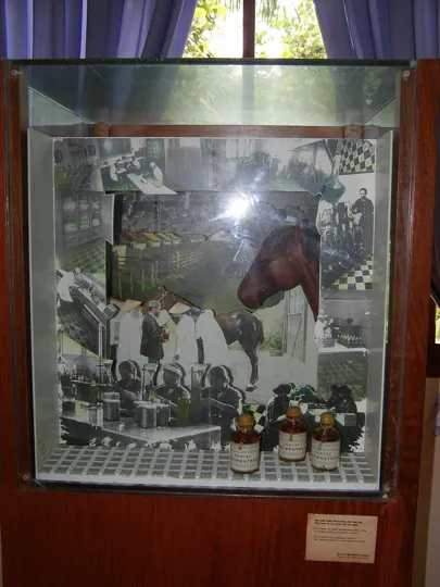 Scientific and biographical displays at Alexandre Yersin Museum in Nha Trang