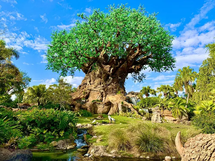 Disney's Animal Kingdom in Orlando