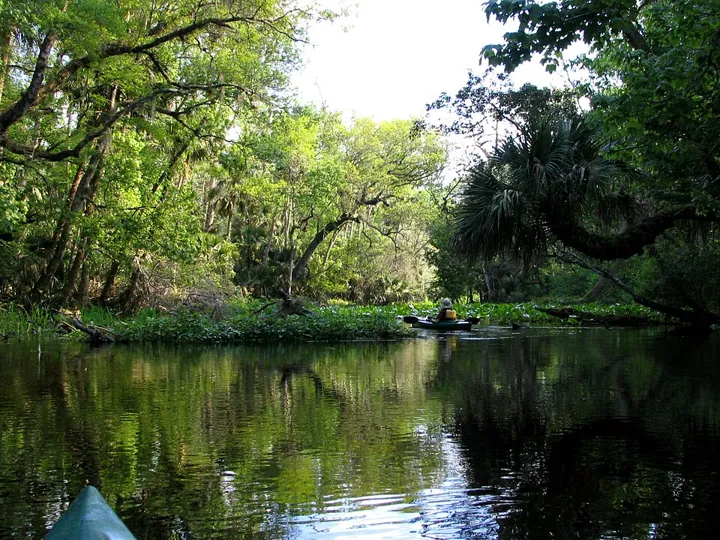 Wekiwa Springs State Park in Orlando