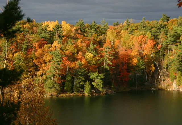Gatineau Park in Ottawa