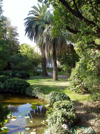 Orto botanico di Pisa in Pisa