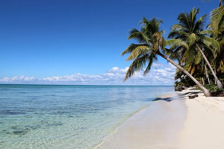 Saona Island in Punta Cana