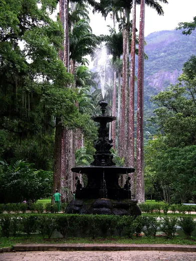 Rio de Janeiro Botanical Garden in Rio de Janeiro