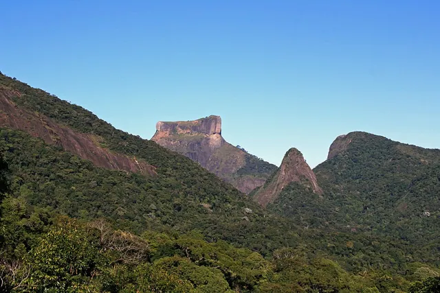 Tijuca National Park in Rio de Janeiro