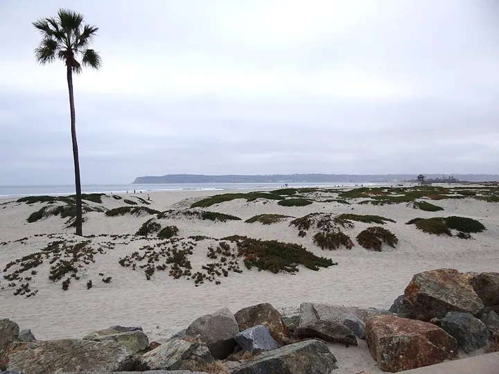 Coronado Beach in San Diego