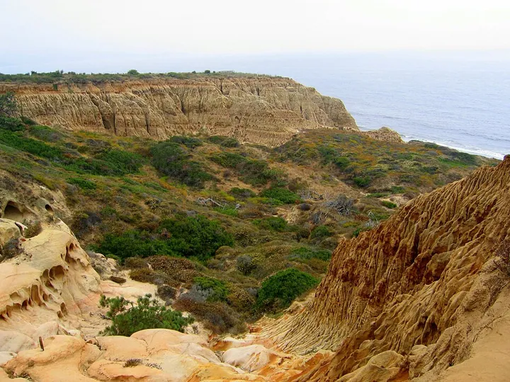 Torrey Pines State Natural Reserve in San Diego