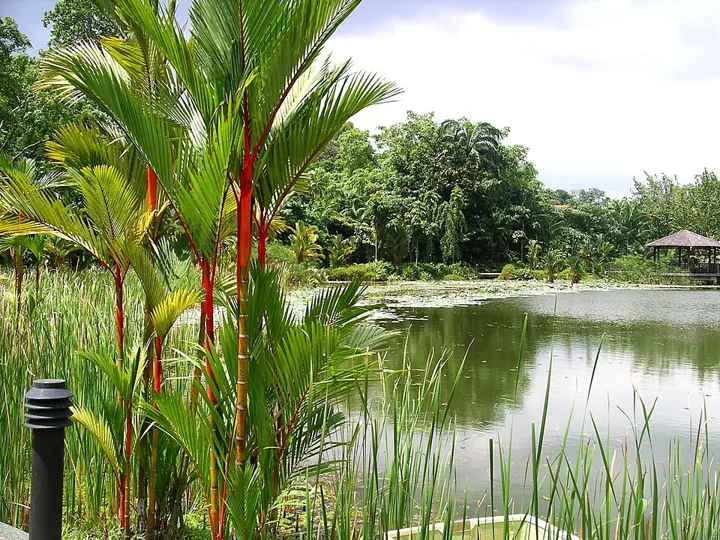 Singapore Botanic Gardens in Singapore