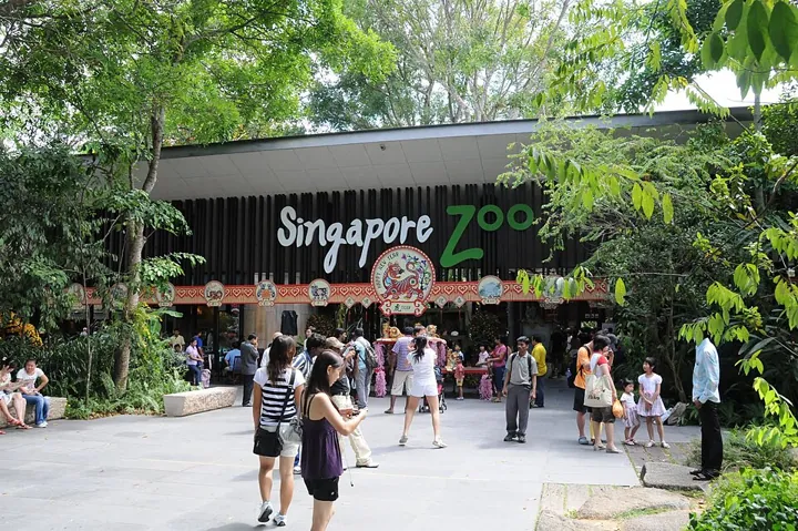 Singapore Zoo in Singapore