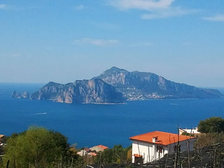 Capri in Sorrento