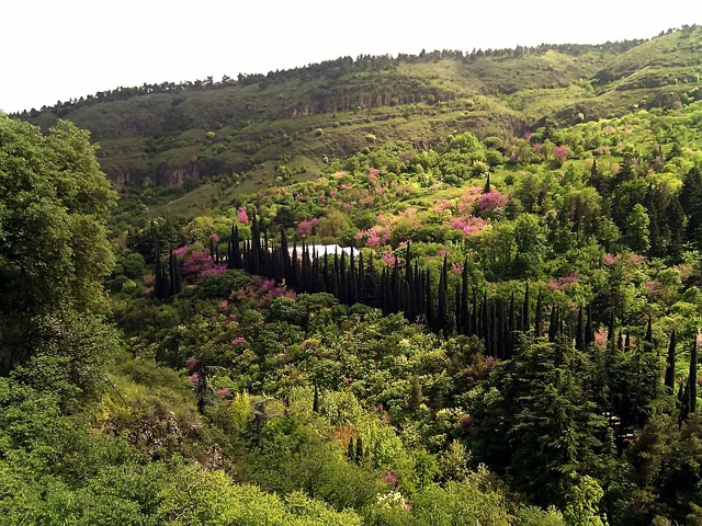 National Botanical Garden of Georgia in Tbilisi