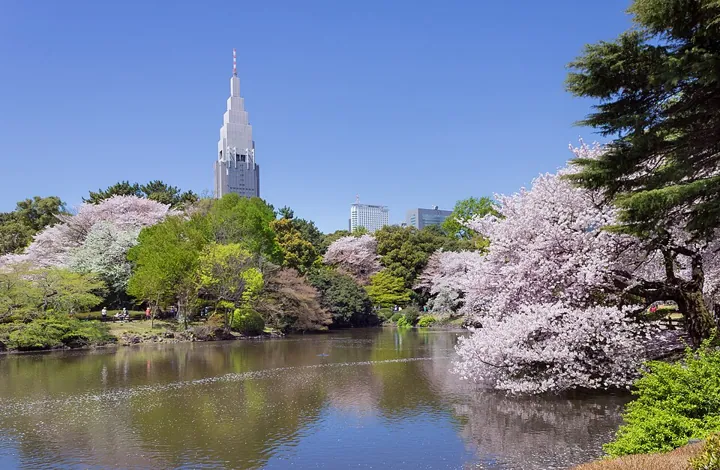 Shinjuku Gyoen in Tokyo
