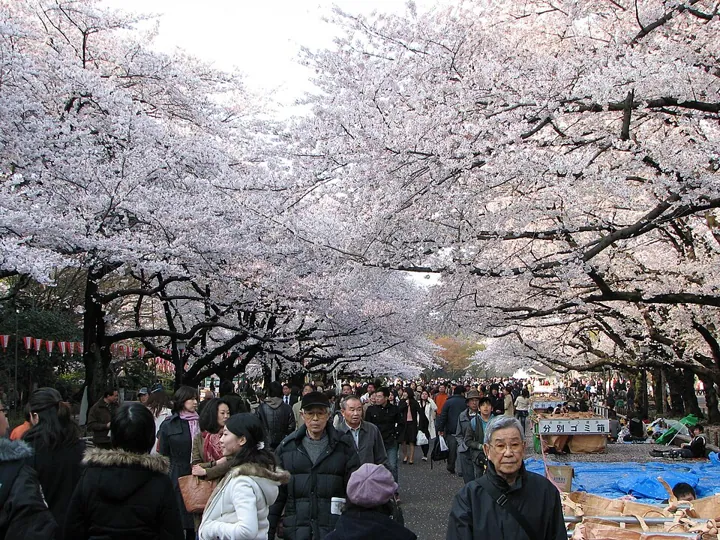 Ueno Park in Tokyo