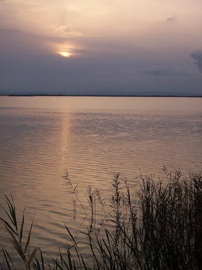 Albufera in Valencia