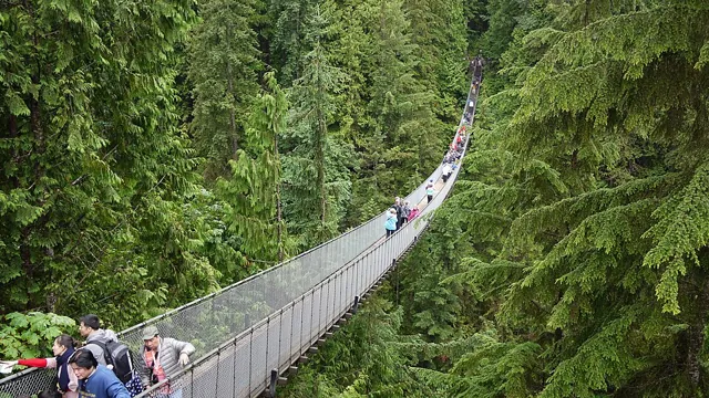 Capilano Suspension Bridge in Vancouver