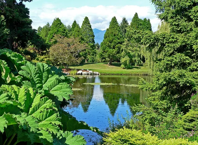 VanDusen Botanical Garden in Vancouver