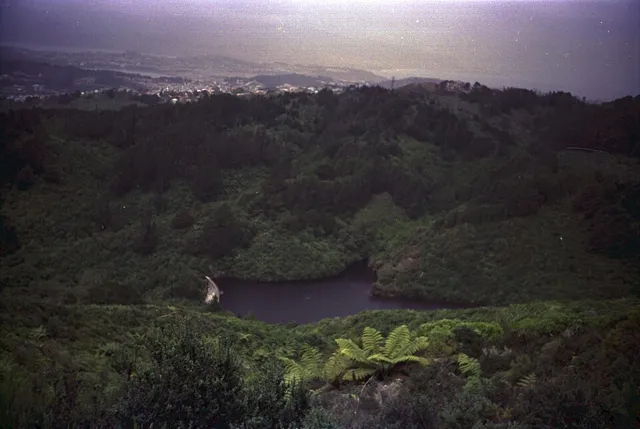 Zealandia (wildlife sanctuary) in Wellington
